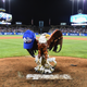 Jayne Kamin-Oncea/Getty Images